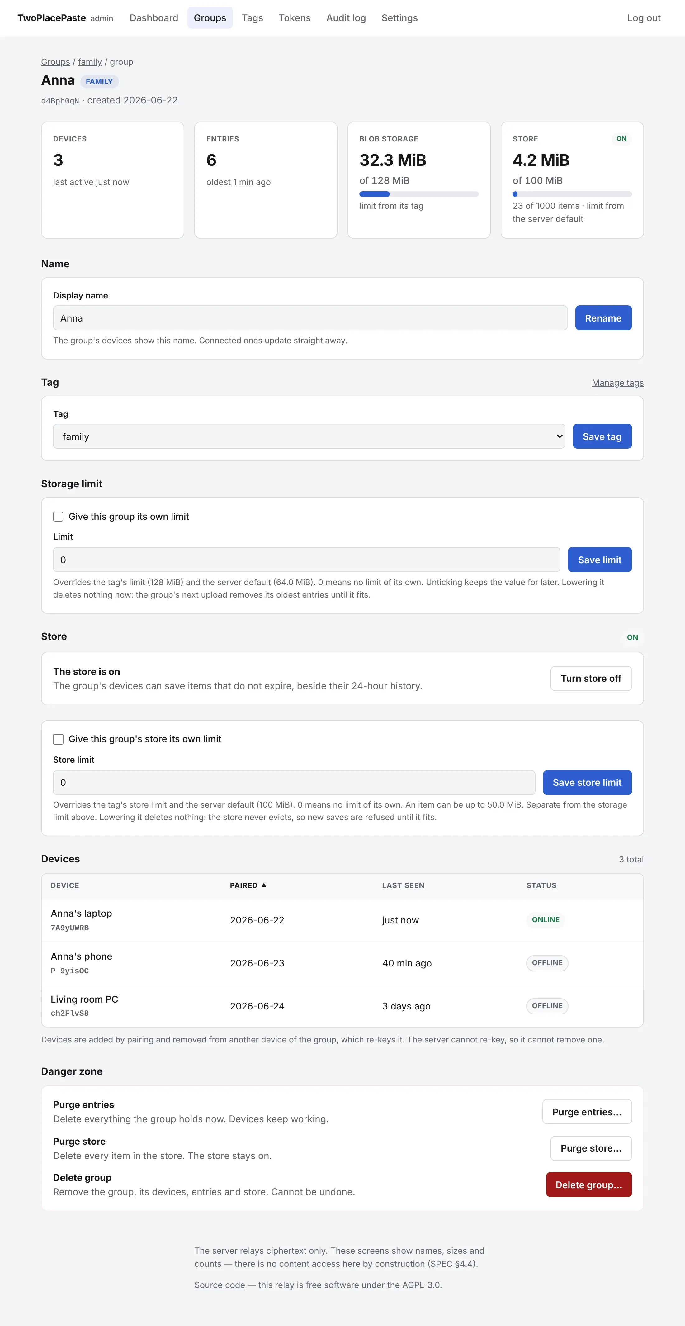 A group's page: its storage and store, name, tag, limits and devices