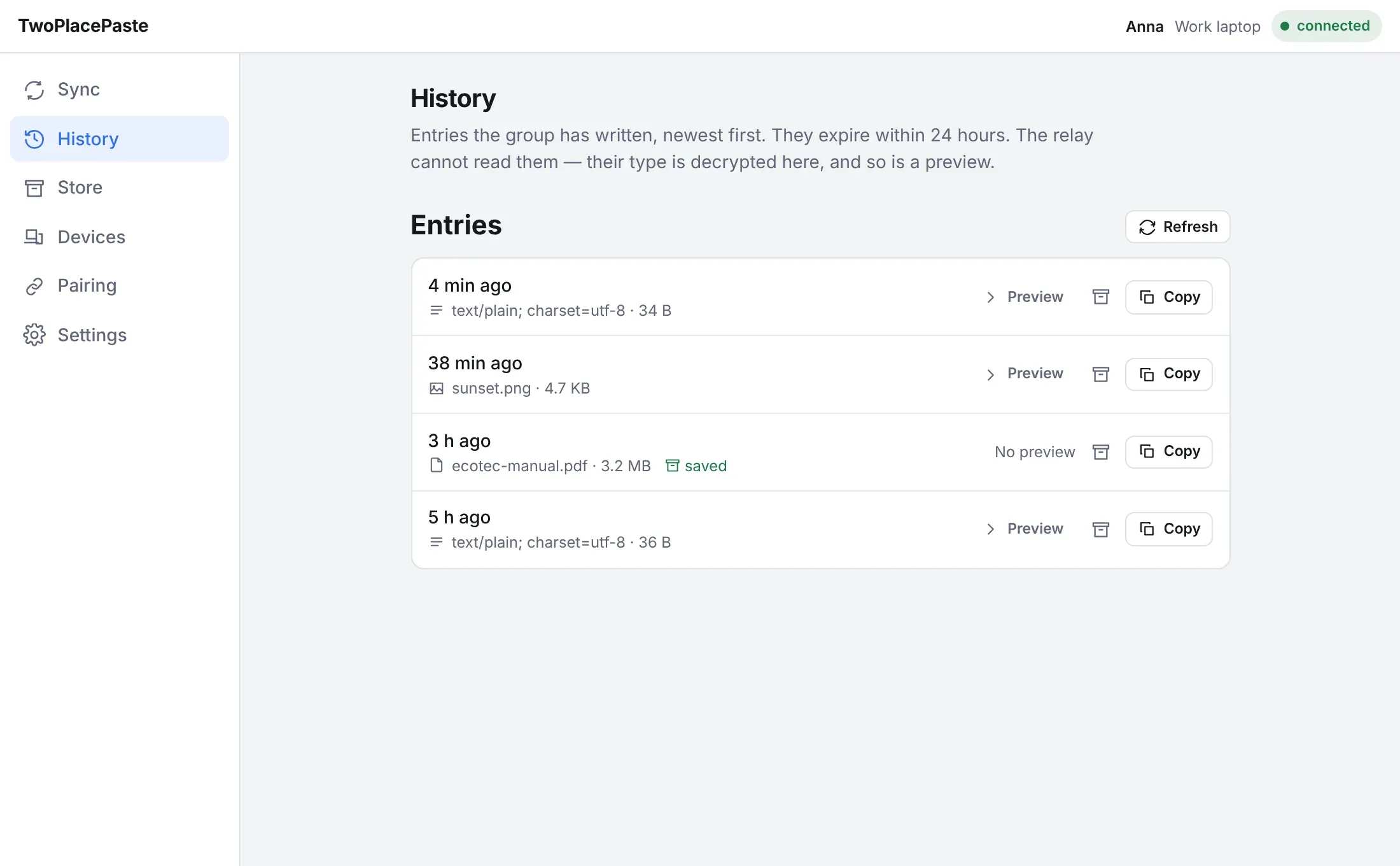 The History tab listing text, image and file entries, one of them marked saved to the store